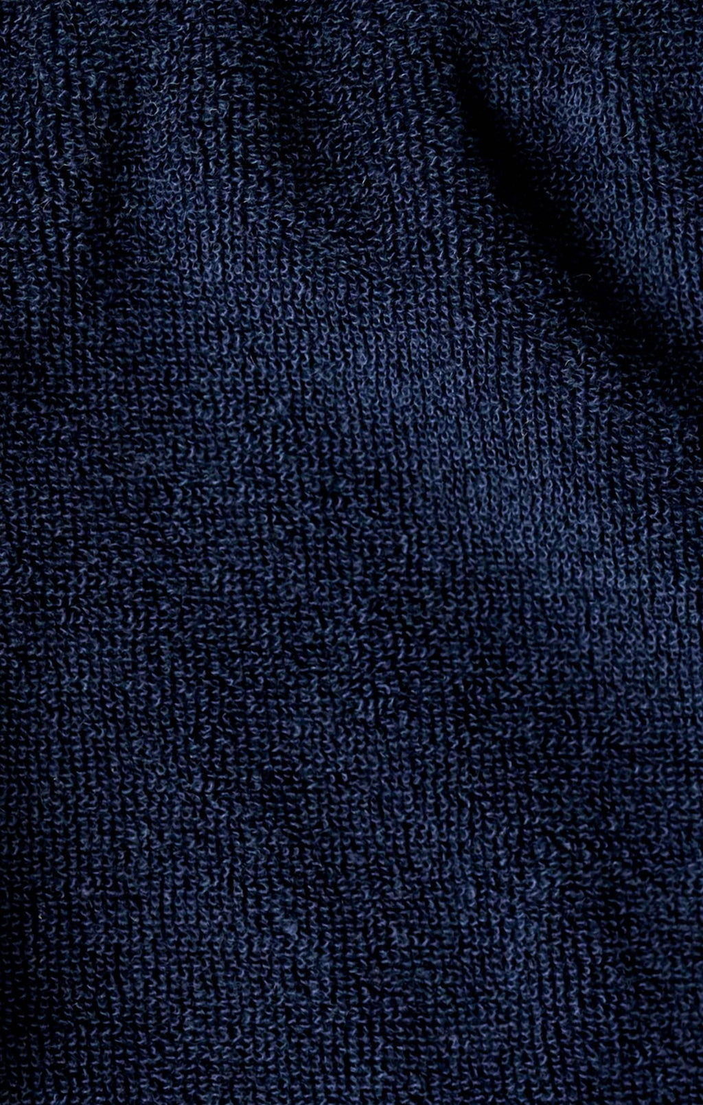 Z Supply - Coastline Terry Short