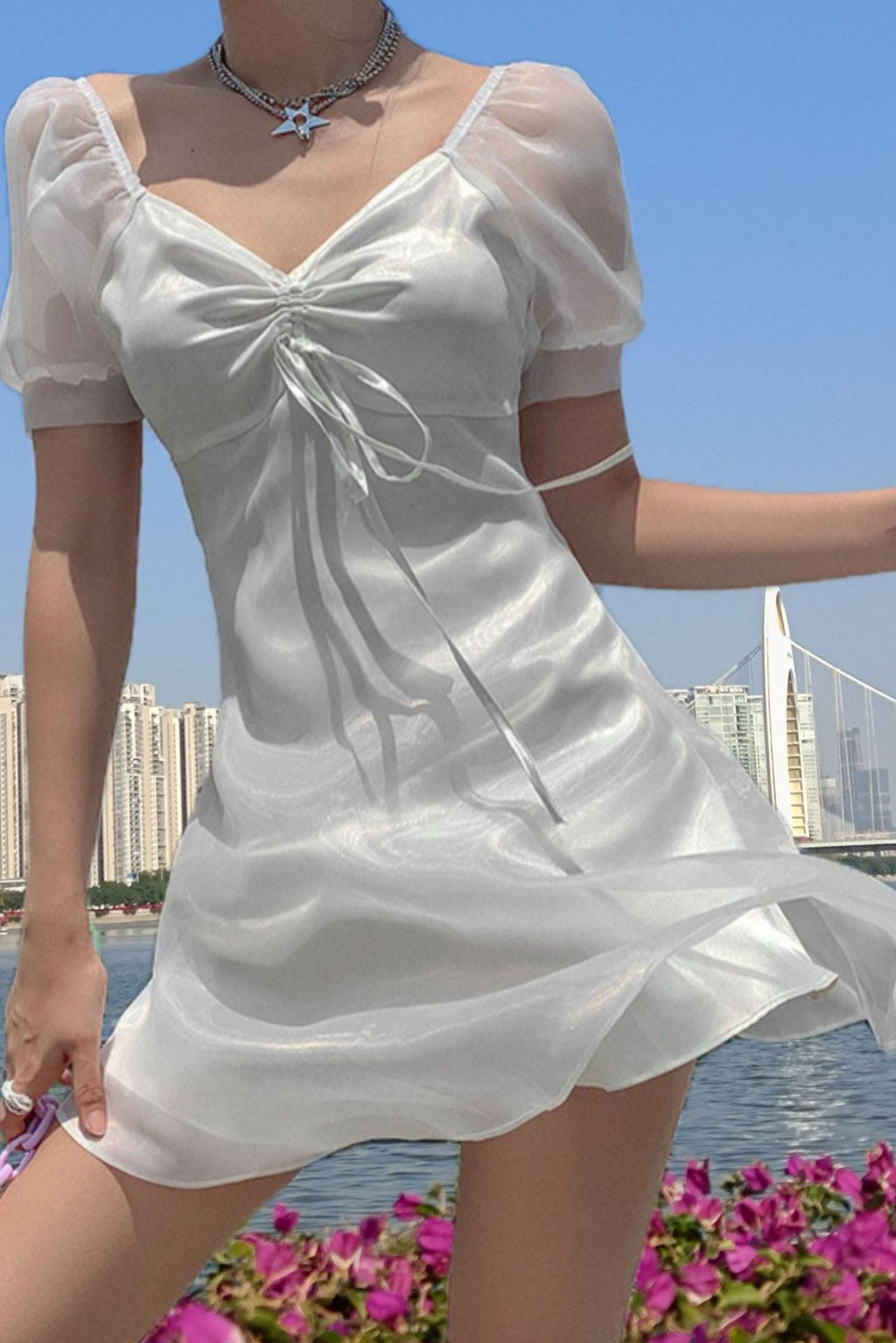Puff - Sleeve Sheer Princess Dress