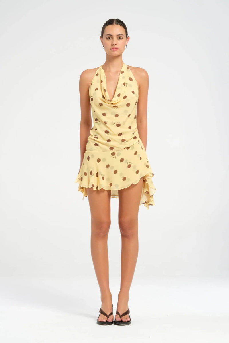 Harlow Mini Dress