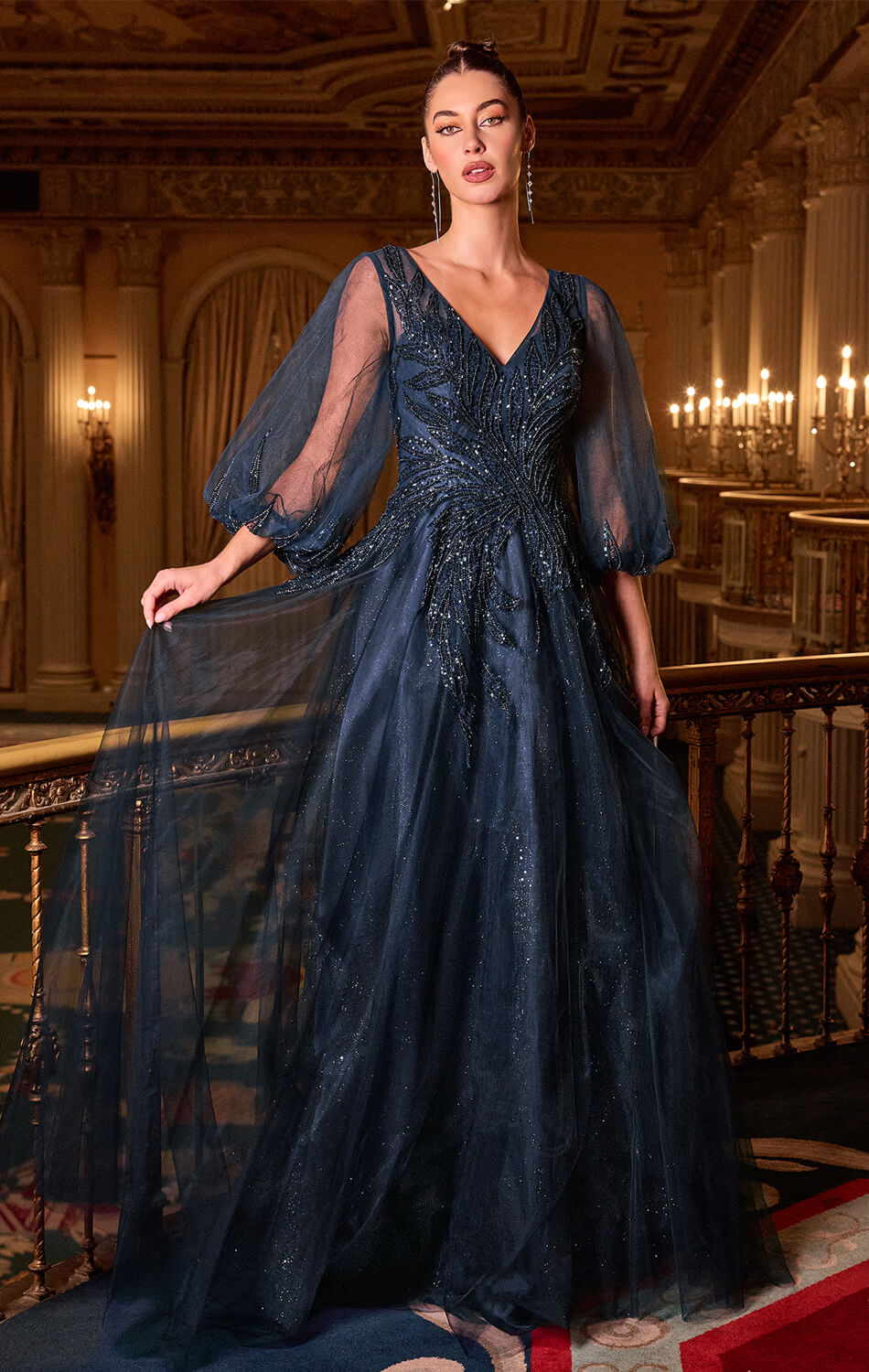 CHARITY GOWN - TULLE A-LINE GOWN WITH SHEER SLEEVES