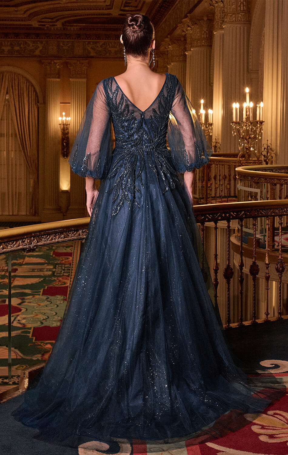 CHARITY GOWN - TULLE A-LINE GOWN WITH SHEER SLEEVES