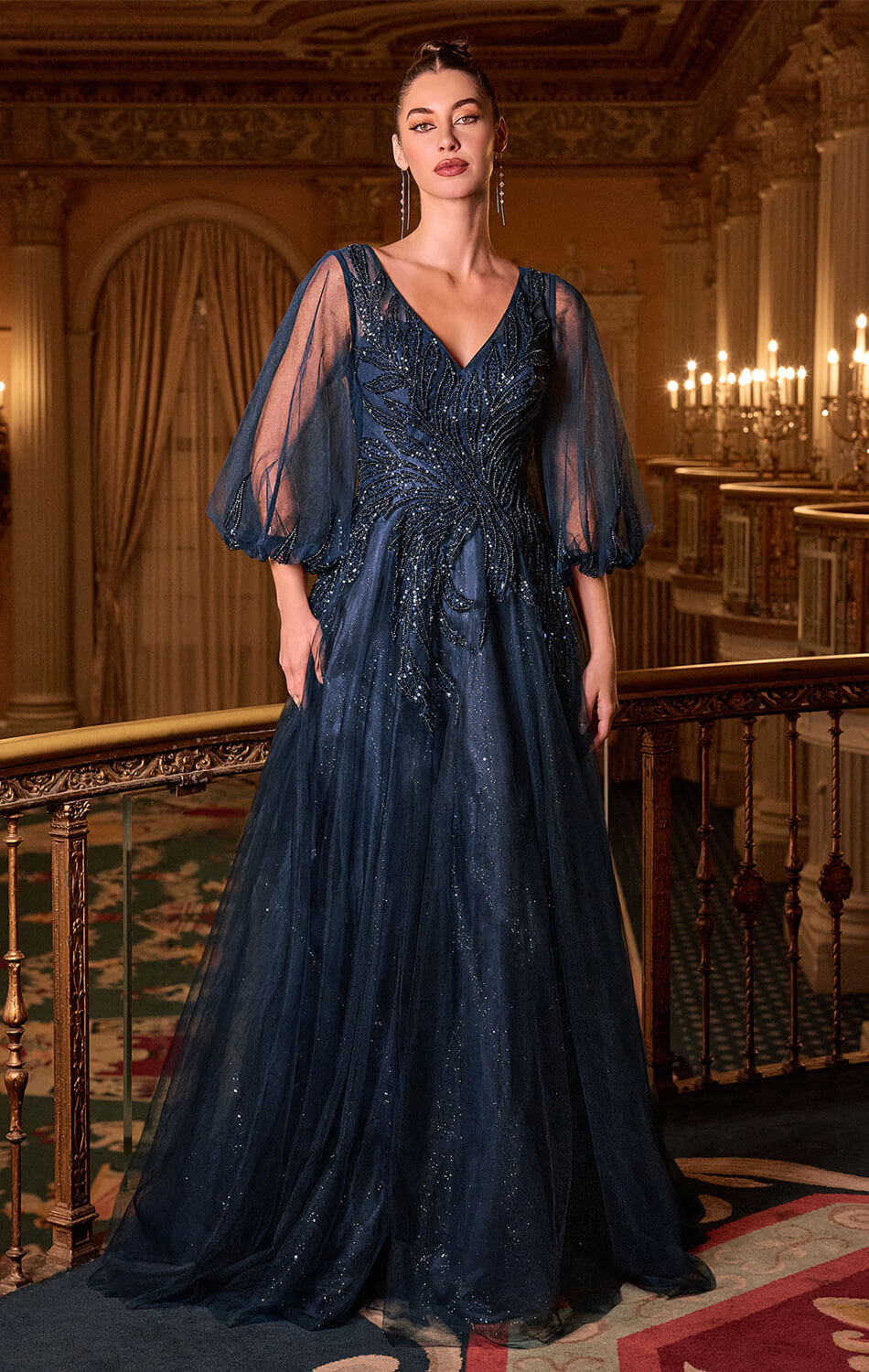 CHARITY GOWN - TULLE A-LINE GOWN WITH SHEER SLEEVES