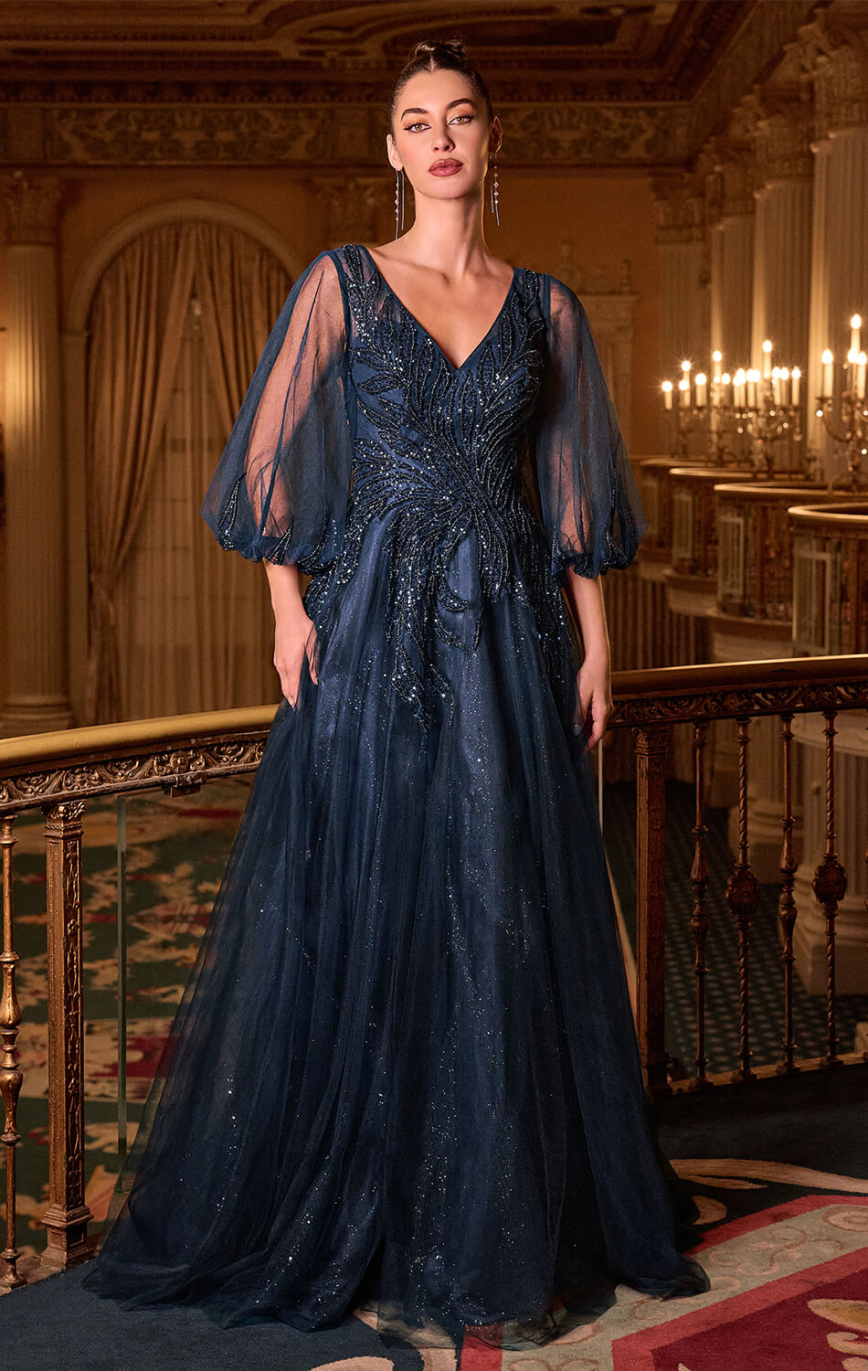 CHARITY GOWN - TULLE A-LINE GOWN WITH SHEER SLEEVES