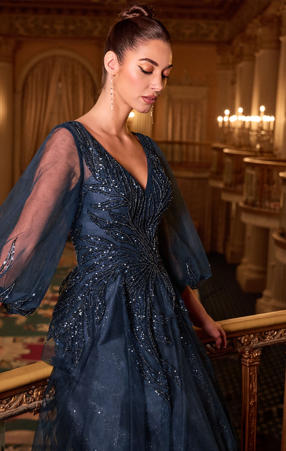CHARITY GOWN - TULLE A-LINE GOWN WITH SHEER SLEEVES